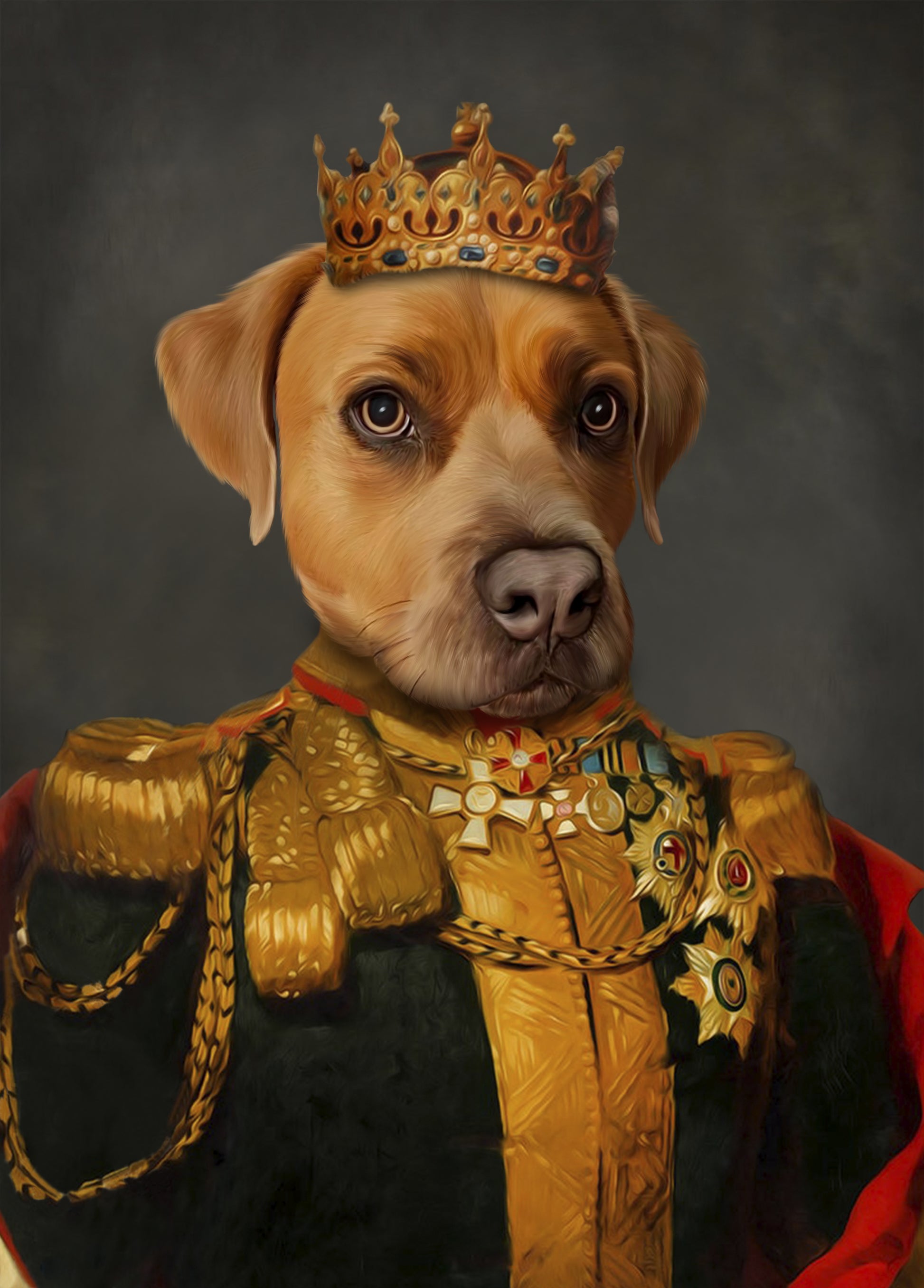 Portret De Koning